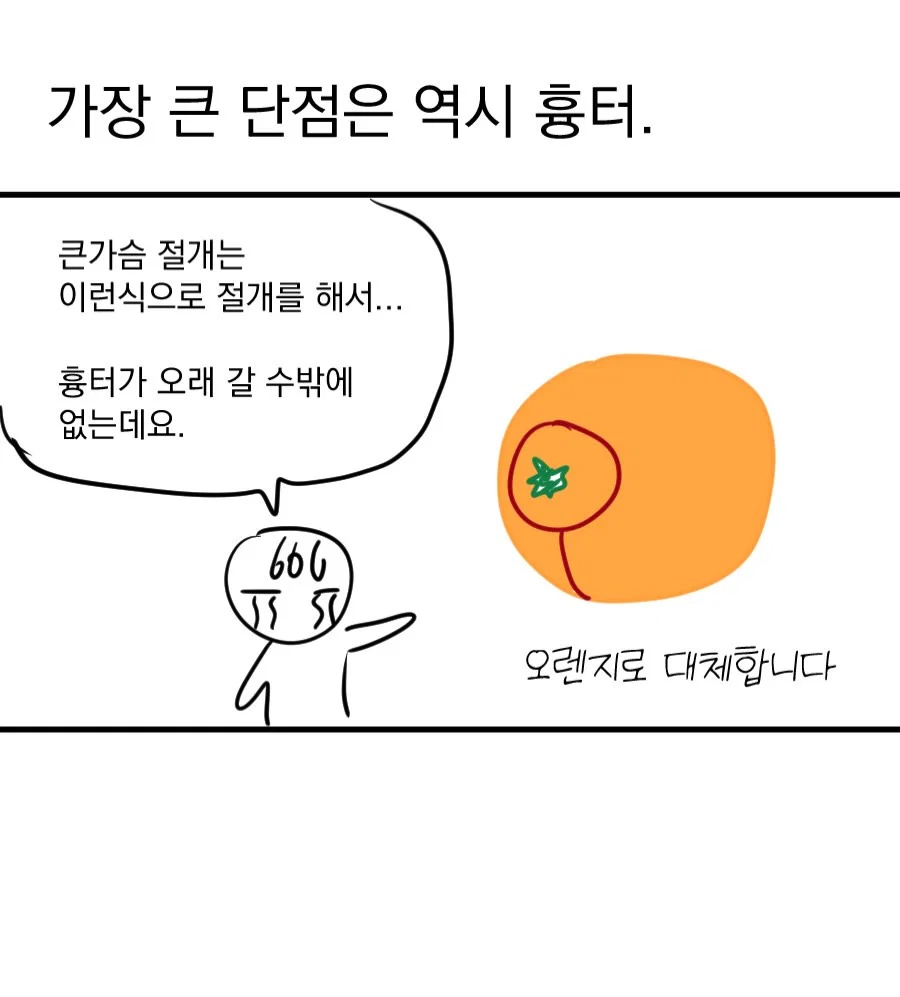 어느 웹툰 작가의 가슴 축소 수술 후기 만화 (25)