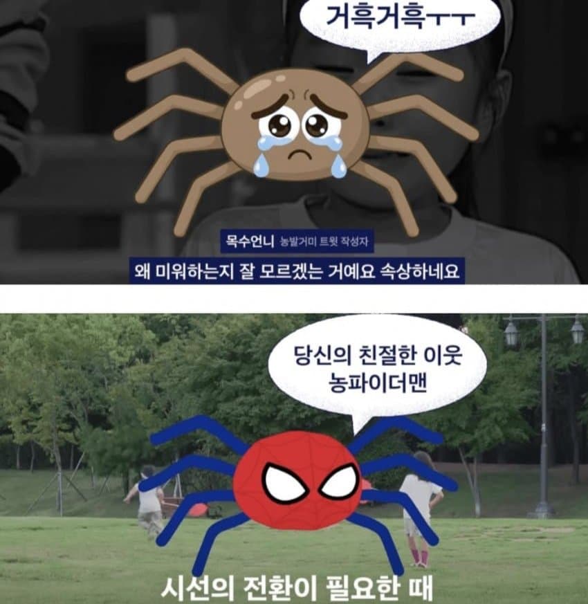 거미거미 징그럽고 큰데 이로운 거미 (6)