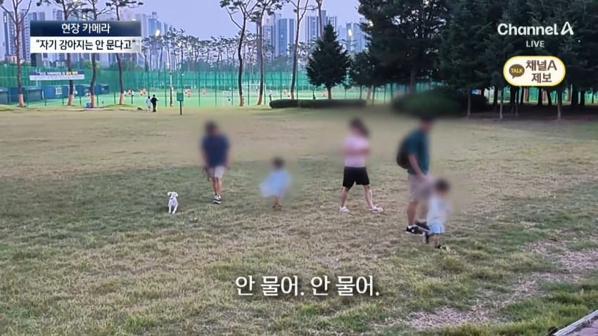 채널a) 단속원 퇴근하자...공원이 '개판' (31)