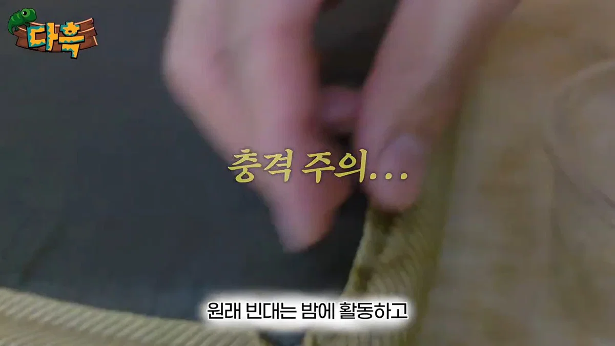 부산 찜질방 빈대 이슈 업로드한 유튜버 다흑... (11)