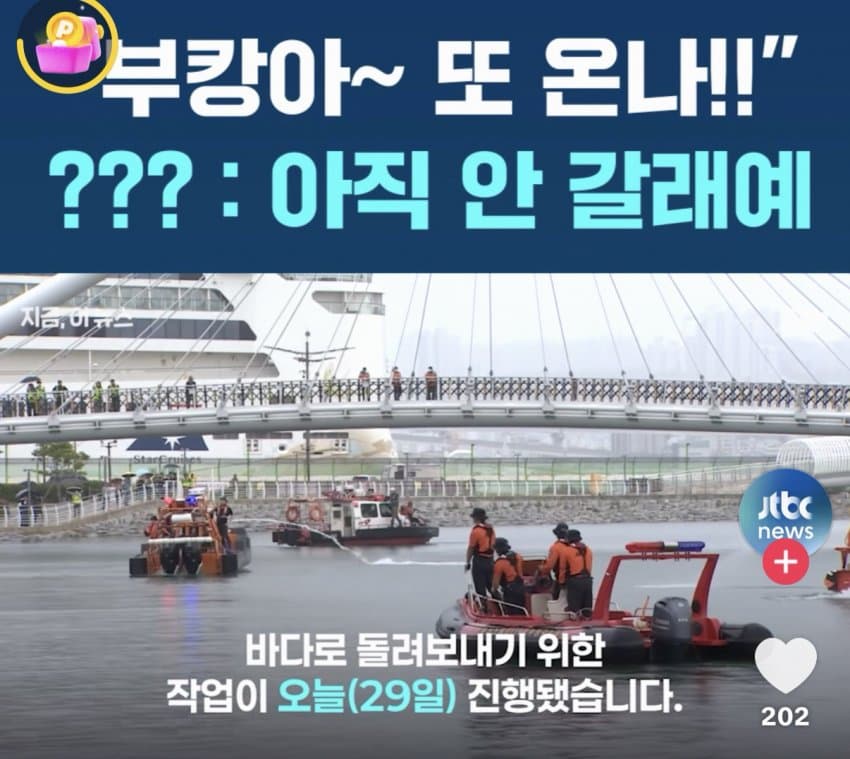 부산 상어.... 부캉이 구조 실패 ㄷㄷ...News