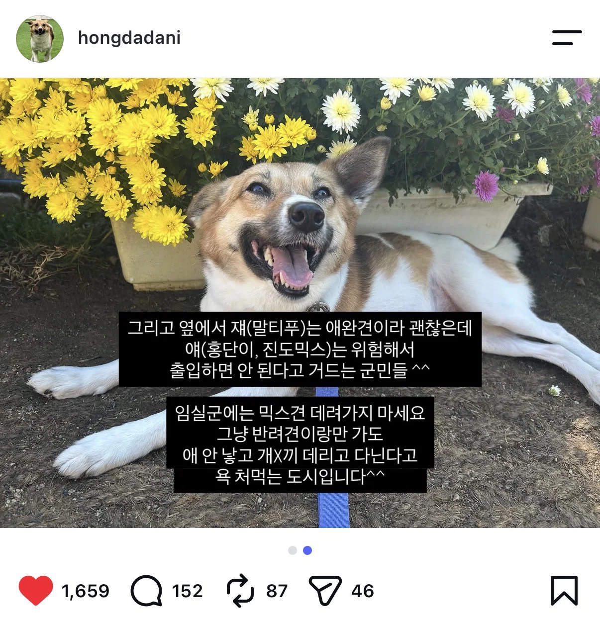 임실군에 강아지 데리고 가지마세요^^ (2)
