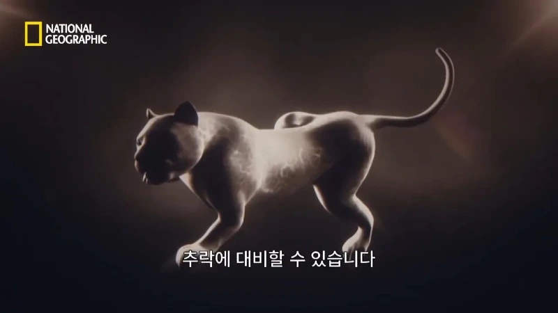 사냥 중 120m 절벽 아래로 떨어진 눈표범. jpg & YouT