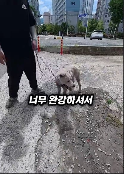 평생 목욕 한번 안 해본 차고지 지킴이 2살 한성이의 생애 첫 목욕대작전 (35)