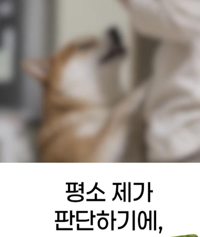처제의 시바를 뒤지게 팼습니다 (2)