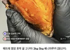 영암 꿀고구마 호박고구마 3kg 대