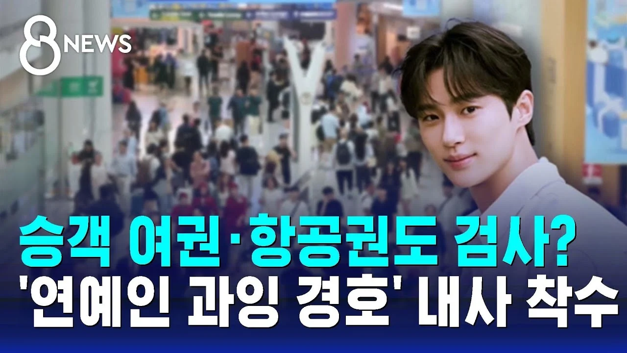 연예인 공항경호 레전드 (2)