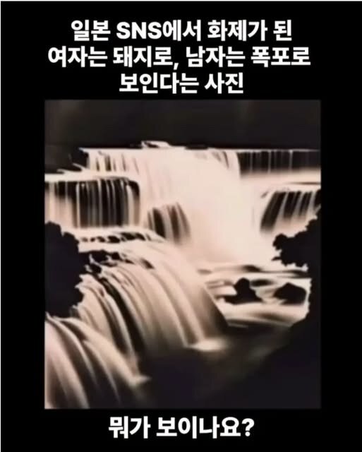 일본 SNS에서 화제가 됐다는 사진