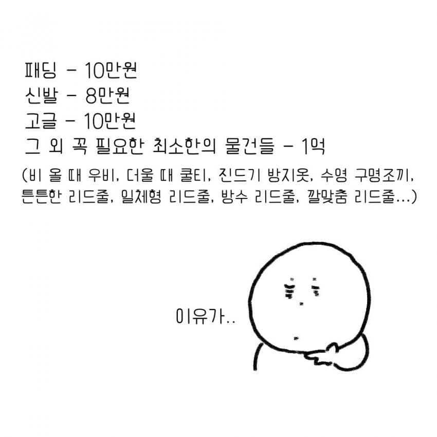 싱글벙글 강아지를 키우기 전 했던 생각.manhwa (10)