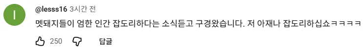 '여자 혼자 놀이기구 탔더니 생긴 일' 피해자 2차가해중인 남초 (2)