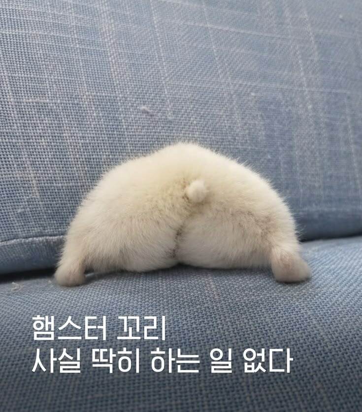 야비군 2일차 기념 햠스타