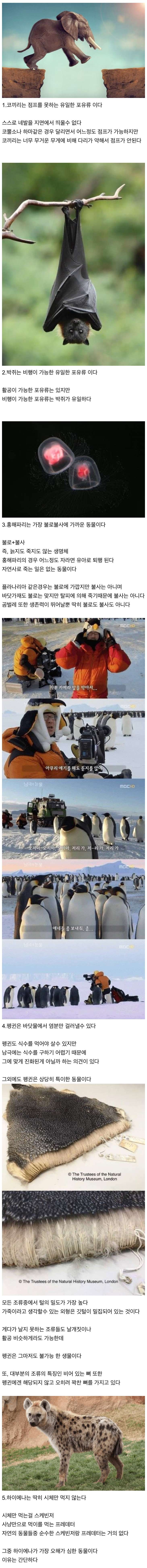 신기한 동물 지식 10가지