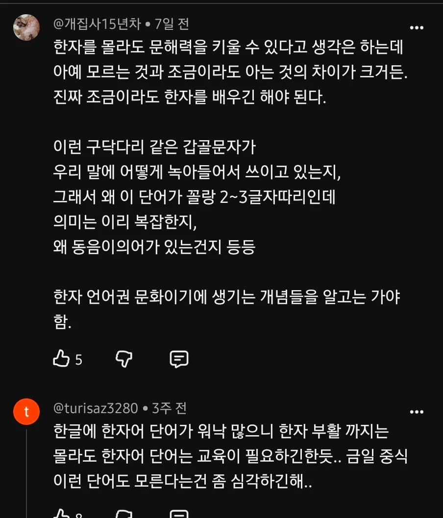 28년부터 초등 교육에 한자 교육 부활시킨다는 이유 (4)