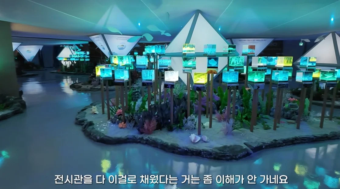 안 싱글벙글 여수국제 섬박람회 후기 (24)