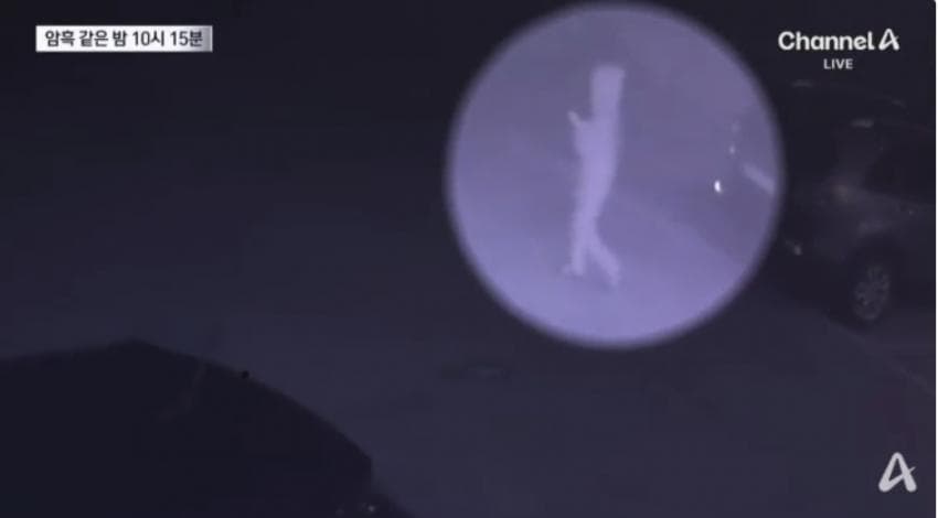 제주실종자가 발견 된 야자수 숲 가는 길을 밤에 직접 가본 기자..