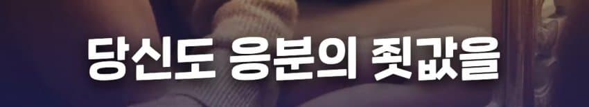 위안부 자선 행사에서 탈북자들에게 월북 강요한 윤미향 (29)