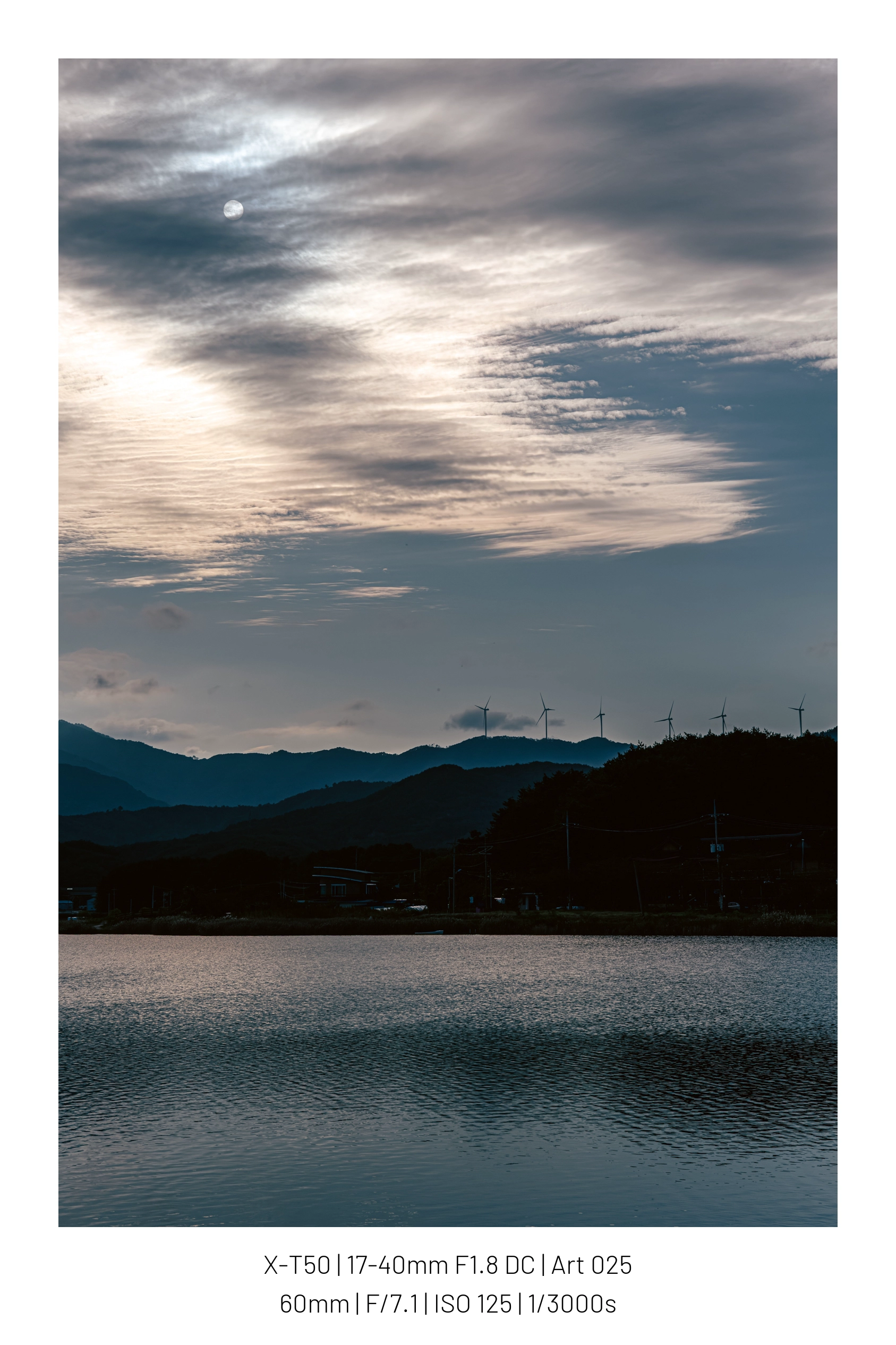 오늘 사진들 13장 (9)