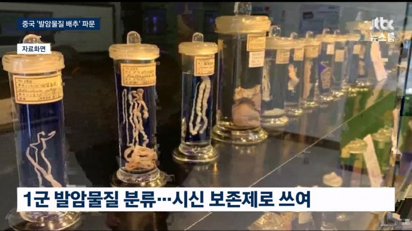 중국 배추 시신 보존제 발암물질 범벅…한국'중국산 김치'수입량 역대 최대 (12)