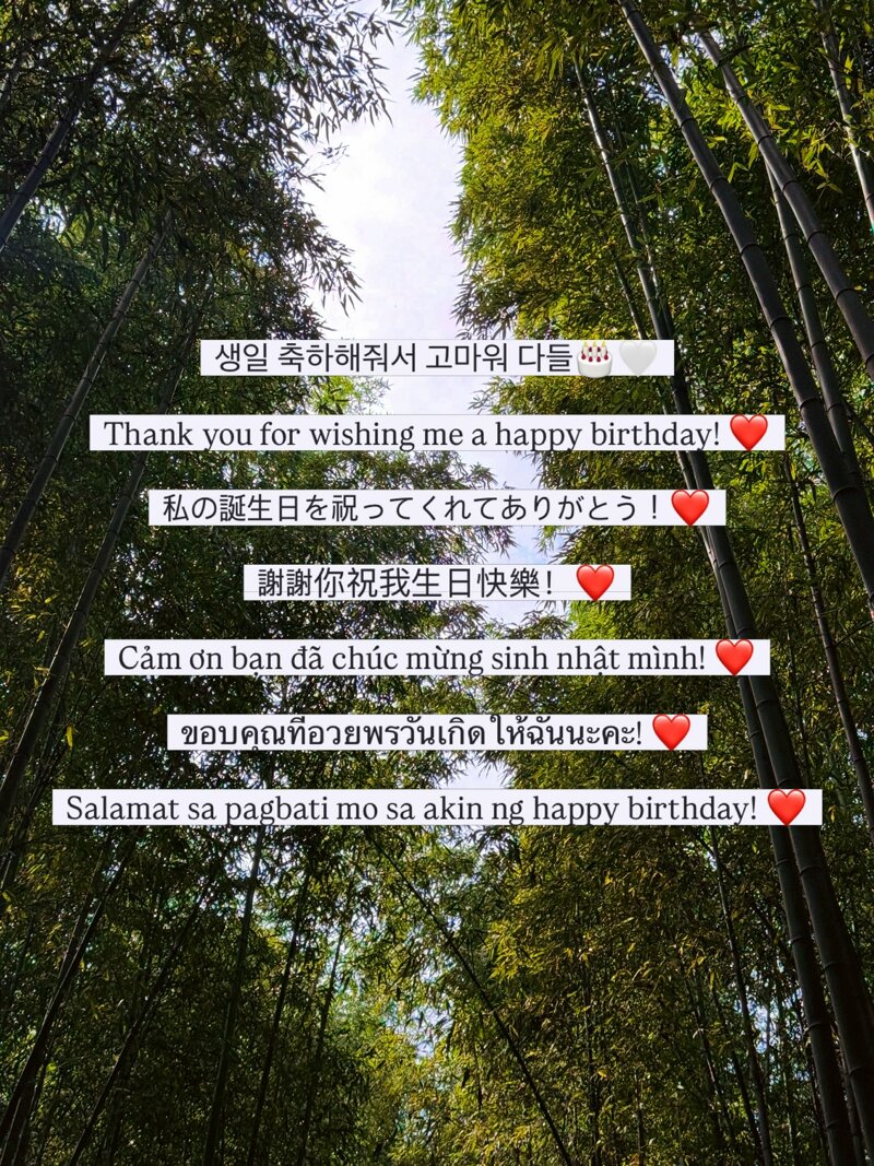 (ㅎㅂ) 생일맞은 소연(꽃빵) (18)