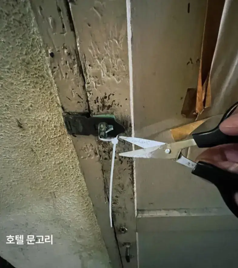 니뽄 하루 숙박비 만원 호텔 (6)