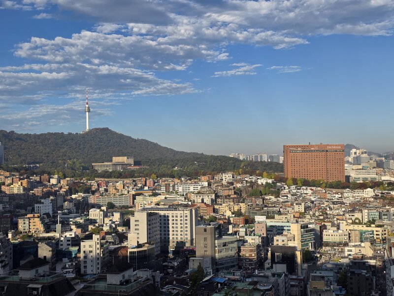 서울에서 남산타워,롯데타워를 볼수있는 공원 (7)