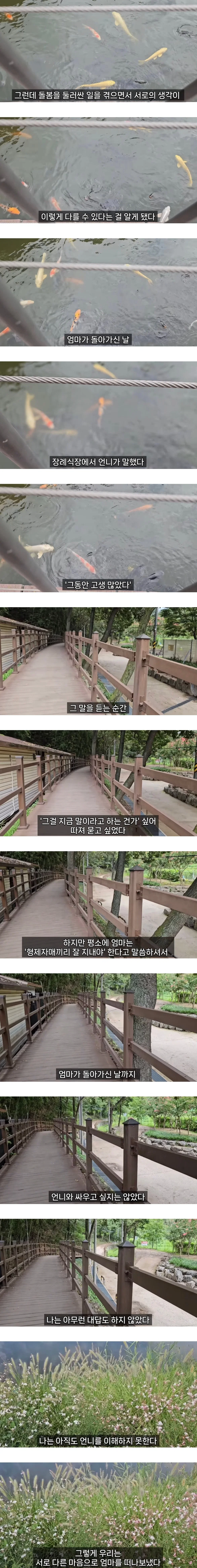 엄마를 돌보면서 자매도 남이 될 수 있다는 걸 알았다 (8)
