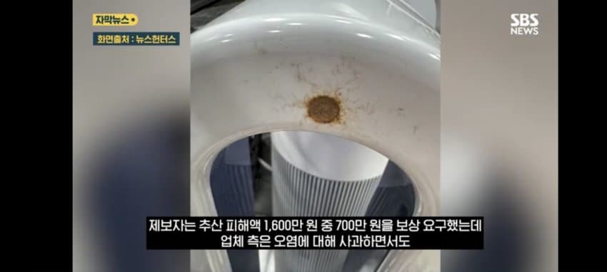 보관이사 맡겼다가 곰팡이, 벌레로 가구 다 망가진 제보자 (22)
