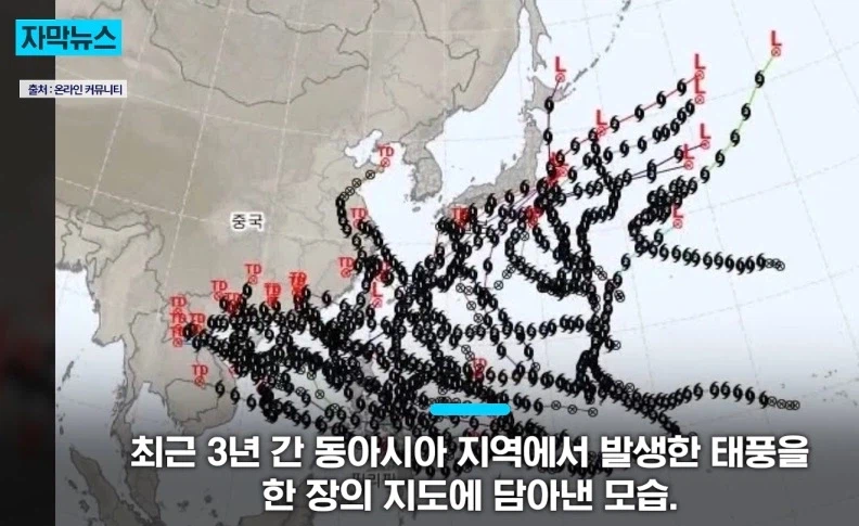 최근 3년간 태풍 근황