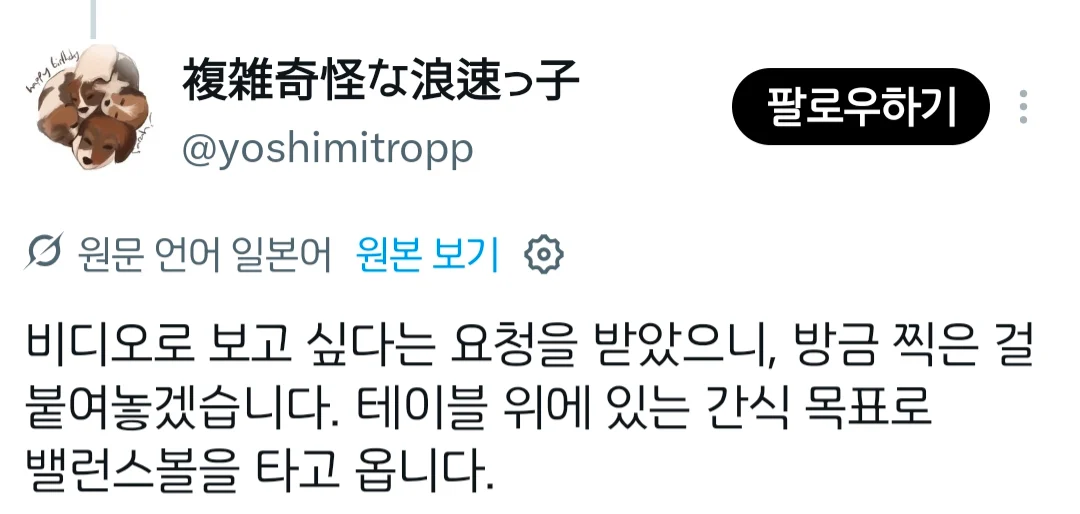 X에서 좋아요 7만개 받은 강아지 ㅋㅋ