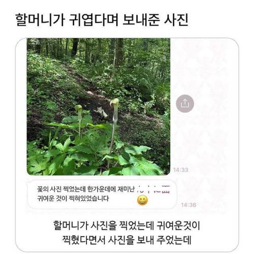 할머니가 귀엽다며 보내준 사진