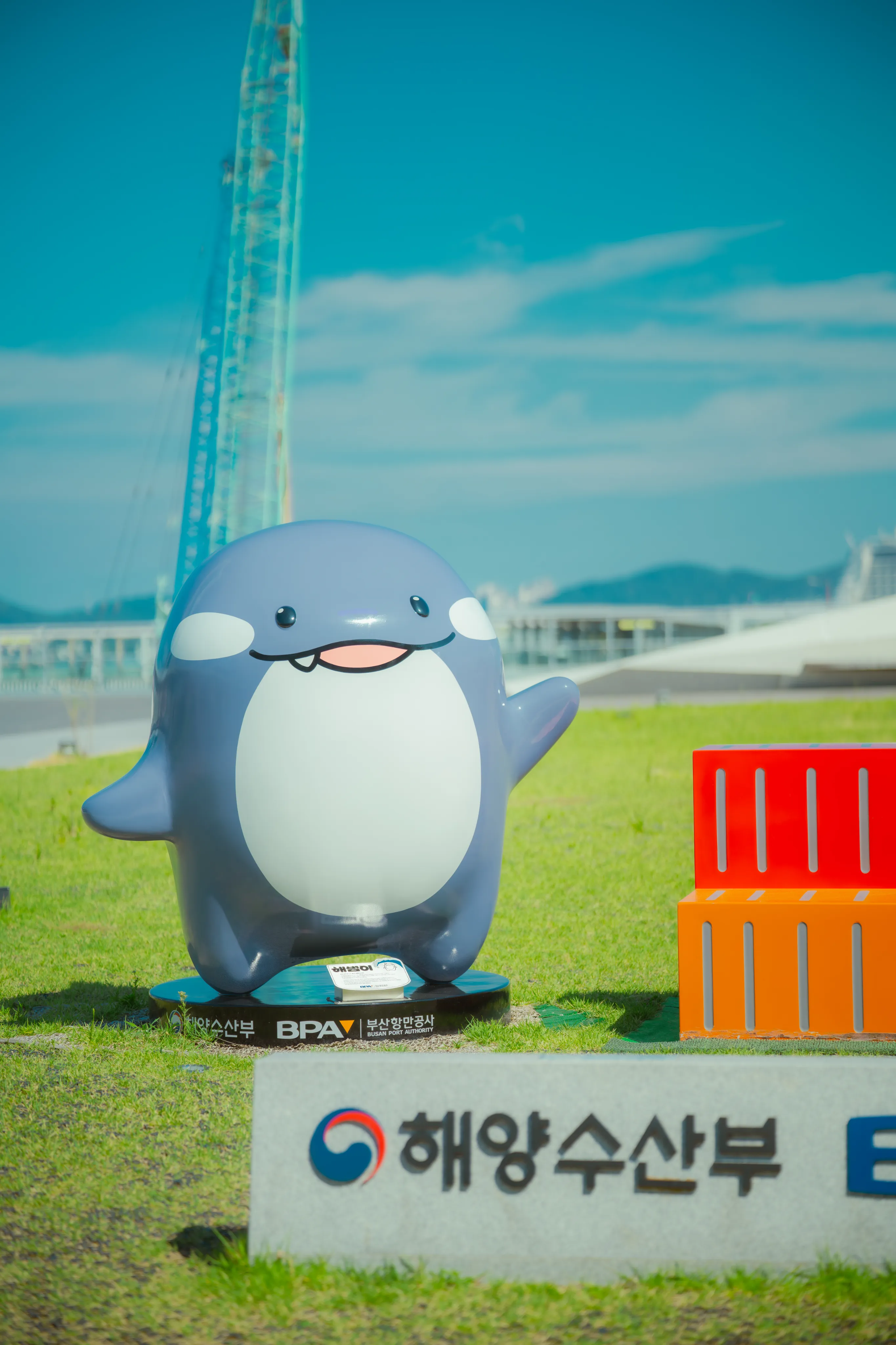 이거 부산 왜 이럼?? (21)