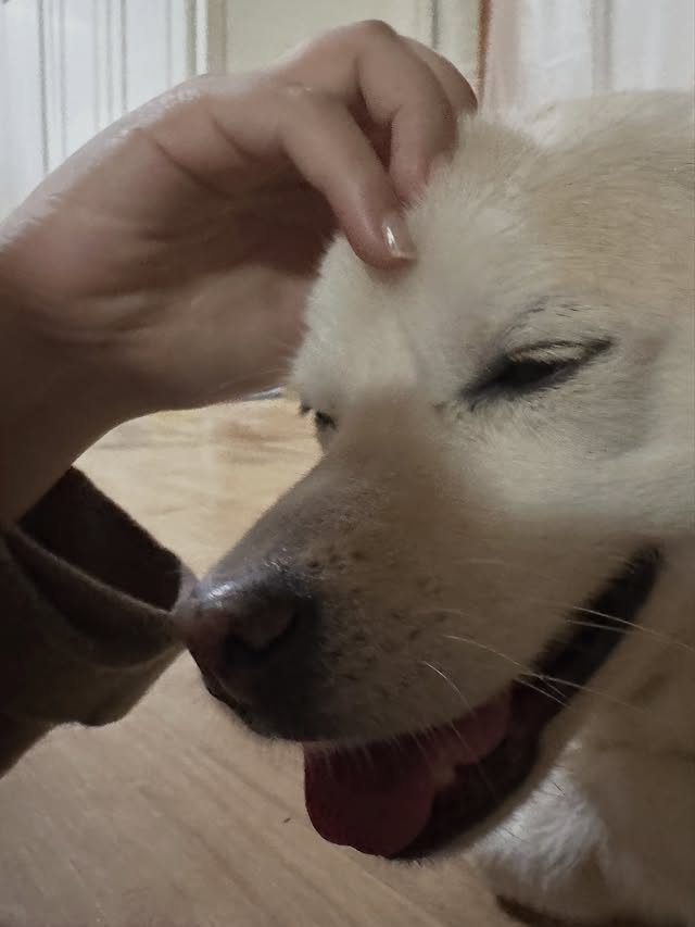 HXZwYg