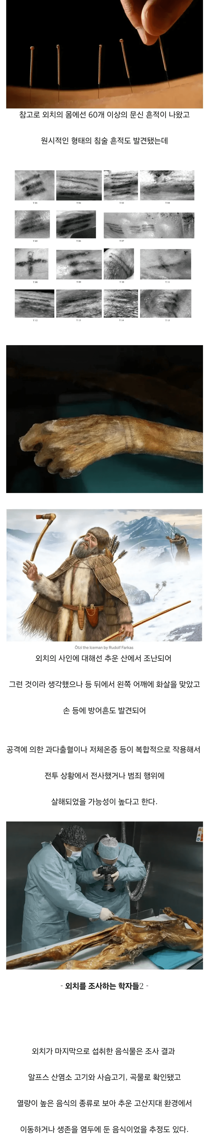 약혐?) 얼음 속에서 5000년 넘게 잠들어 있던 미라 이야기 (4)