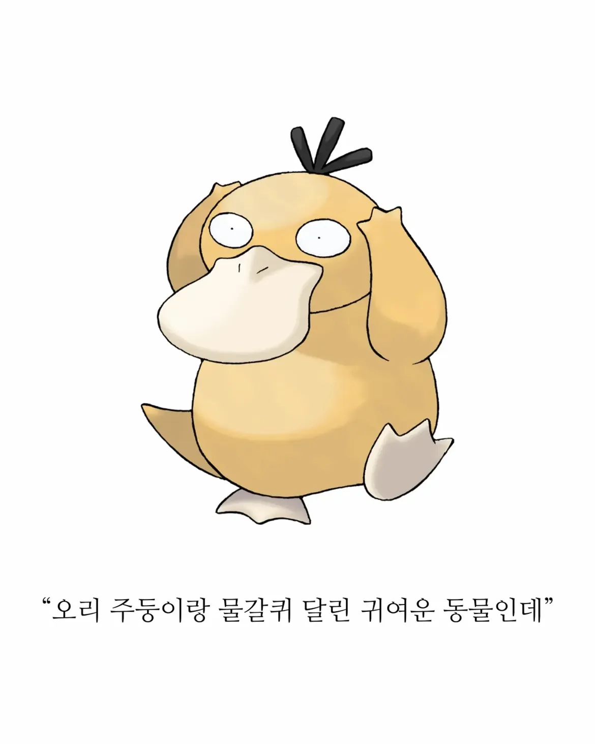 의외로 18세기에 발견된 기괴한 생명체 (2)