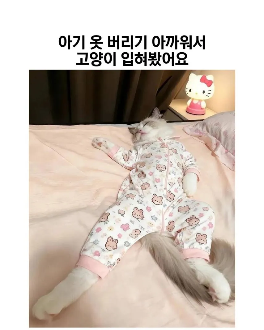 아기 옷 버리기 아까워서 고양이 입혀봤어요.jpg