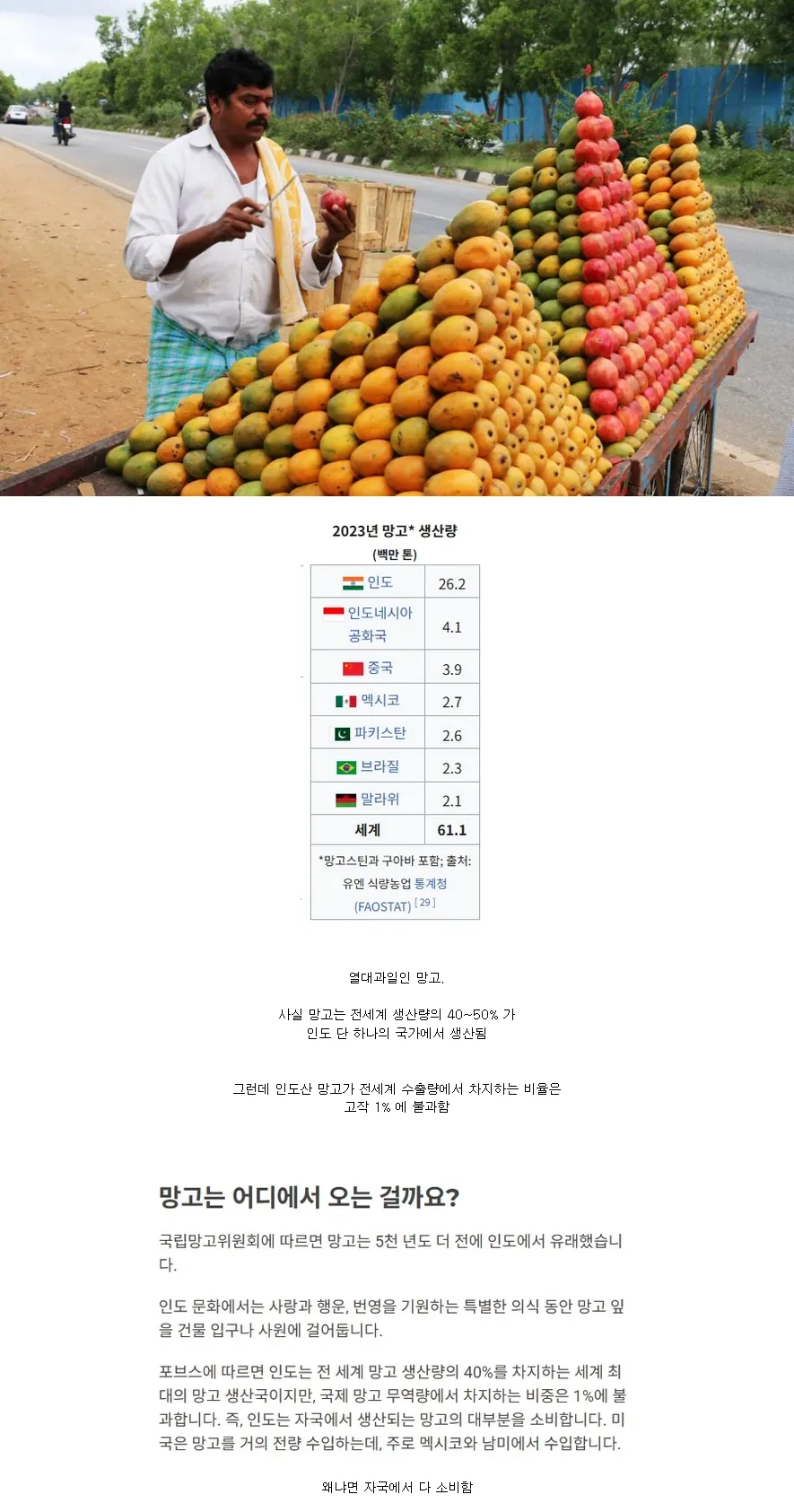 전세계 생산량의 40% 가 넘는 인도 망고를 볼 수 없는 이유