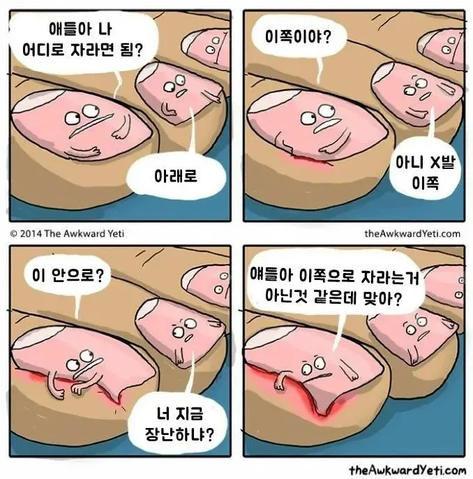 “얘들아 나 어디로 자라면 돼?”