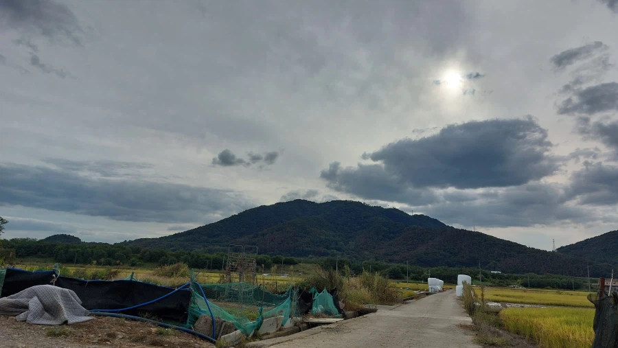 시골 살 때 ㄹㅇ 무시 못할 장점 (14)