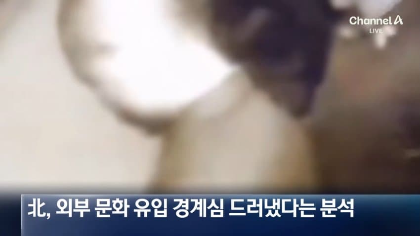 "한국 드라마 본 것 후회" 흐느낀 북한군…영상 보니 (14)