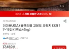 블랙라벨 고당도 오렌지 대과 17~19과 4kg