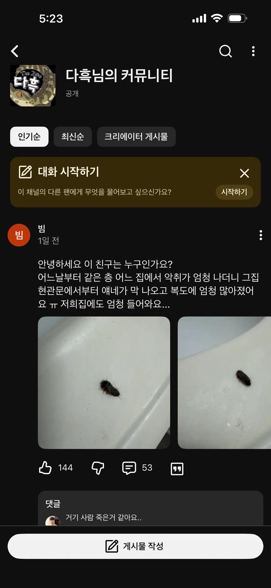 파충류 유튜버 게시판에 올라온 무서운 글 (벌레주의?)