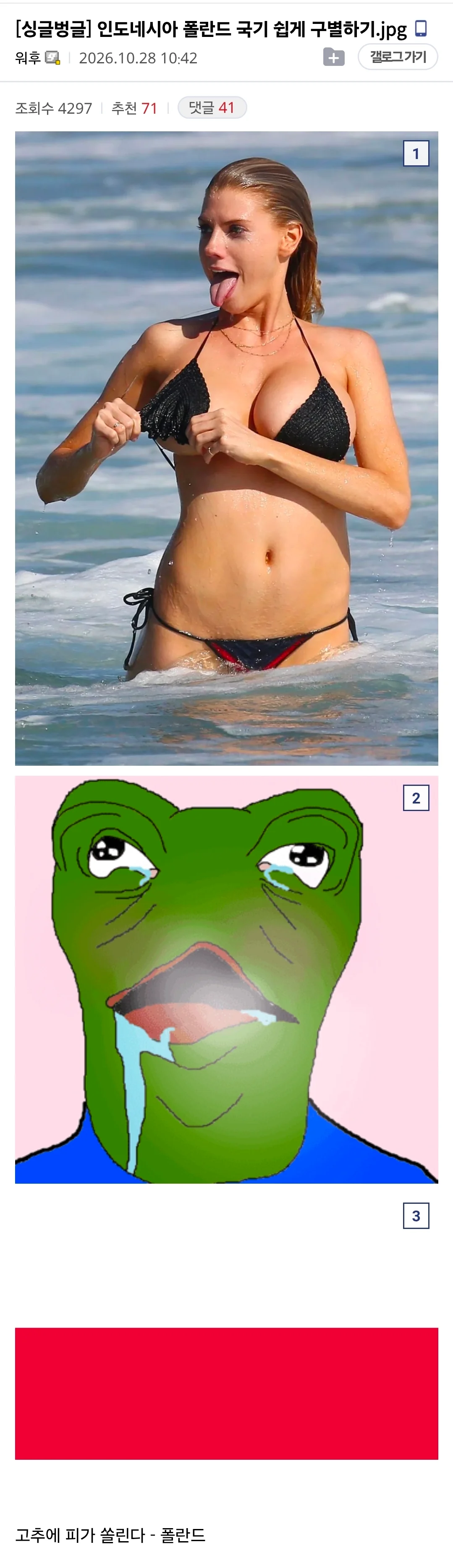 간단하게 폴란드 인도네시아 국기 구별하기.