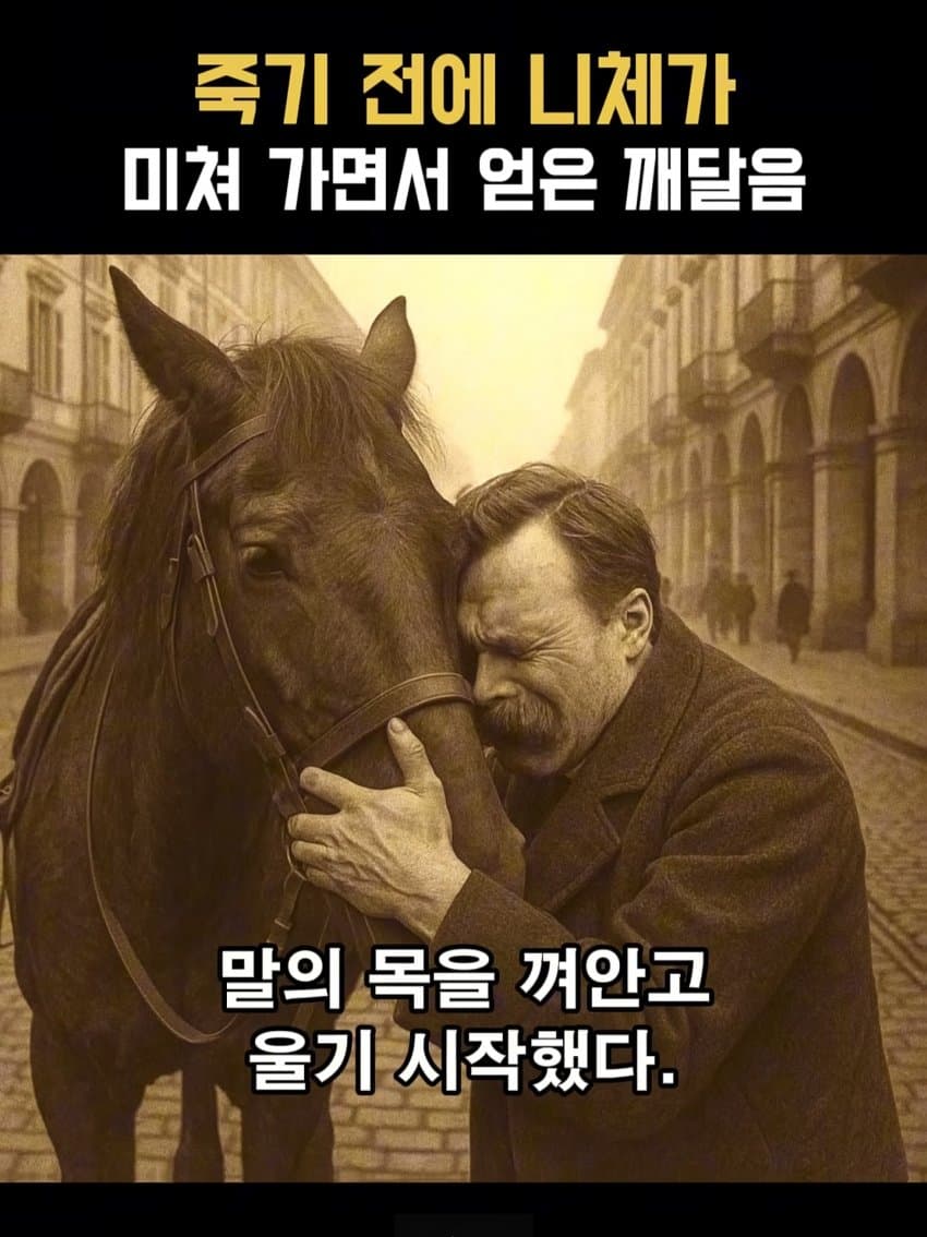 ㅂㅅㅂㅅ 니체가 죽기 직전에 미친 이유 (7)
