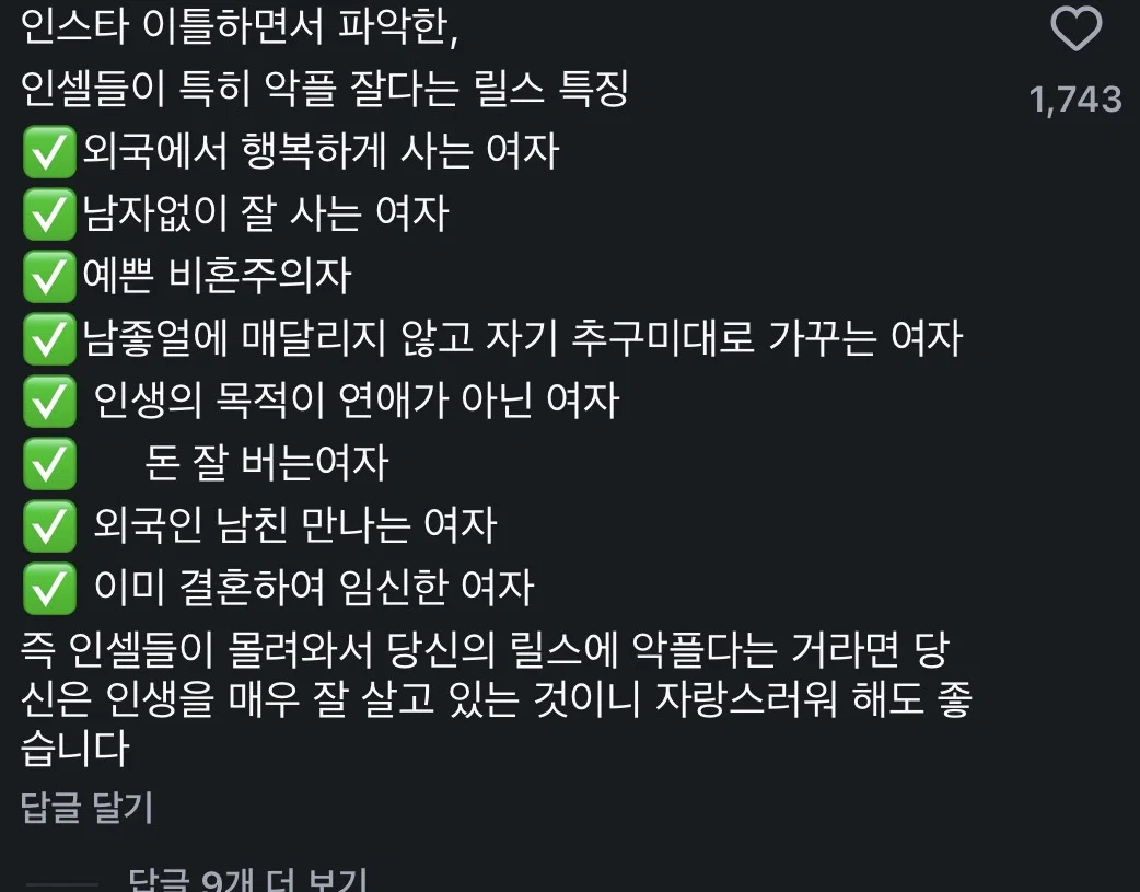 인스타에 37살 미혼이라고 올리면 듣는 말 (19)
