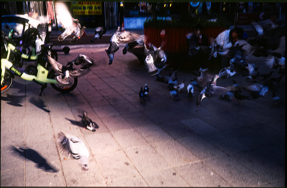 [Velvia50] 지하철 한 정거장 지나서 내림 (8)