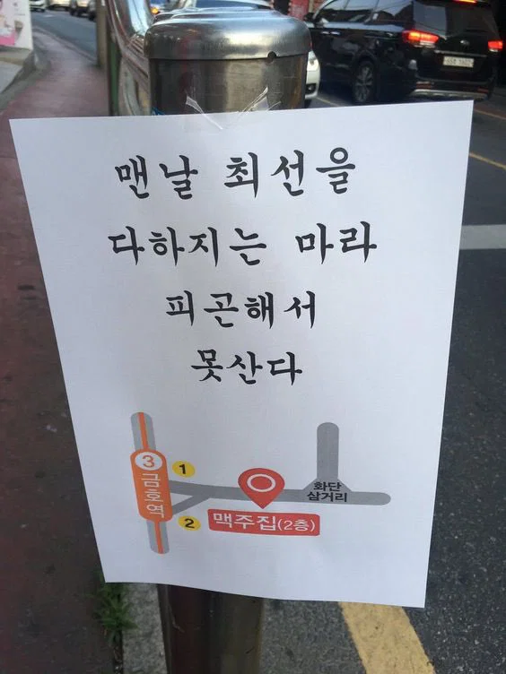 미용실 보냈는데 푸들이 실종되고 아기양으로 돌아왔습니다 (16)