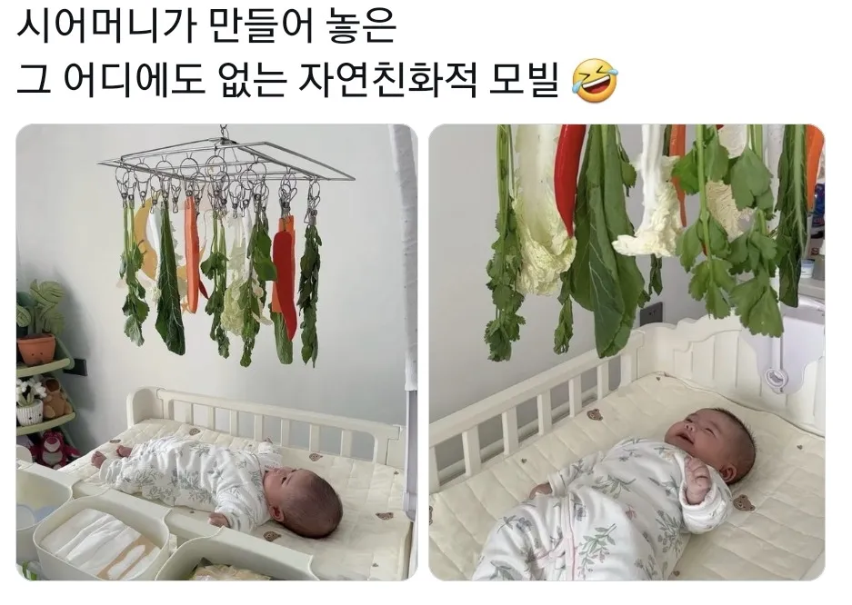 시어머니가 이런걸 만들어주셨다