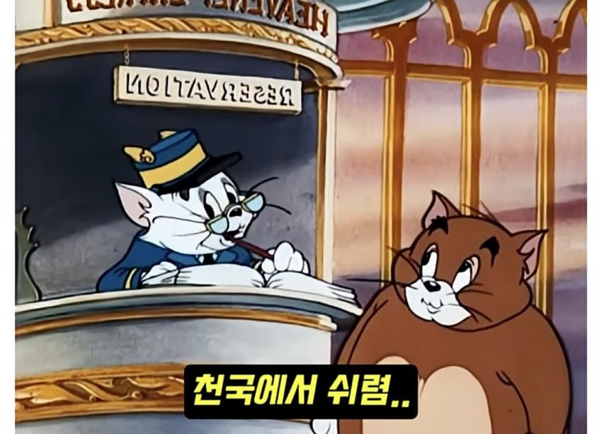훌쩍훌쩍 톰과 제리 전설적인 장면.. (16)