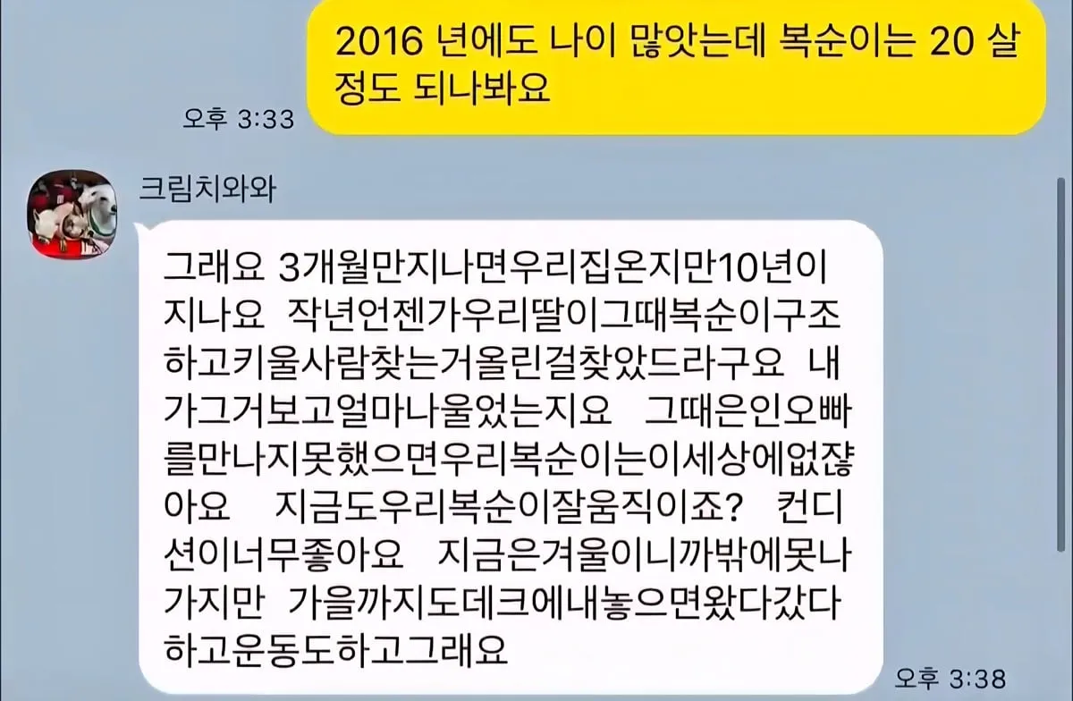 10년 전 유기견을 입양했던 사람에게 다시 연락해봤다