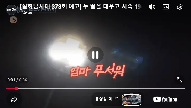 "엄마 무서워"…딸 태우고 194㎞ 음주 운전 사망 사고, 남편이 '1135명 탄원서'
